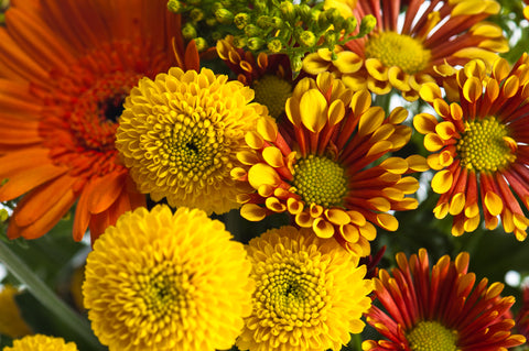 "Harvest Season" Floral Arranging Class