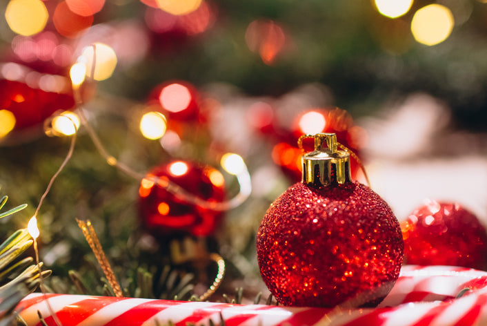 Christmas Centerpiece Floral Design Class