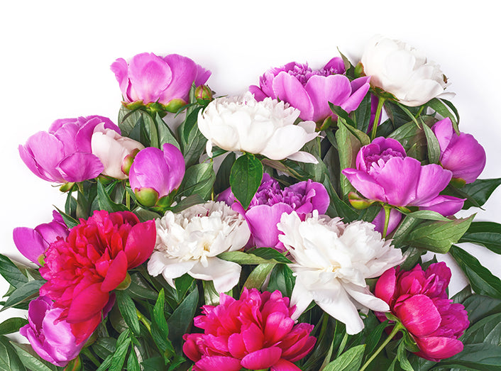 "Passion for Peonies" Flower Arranging Class