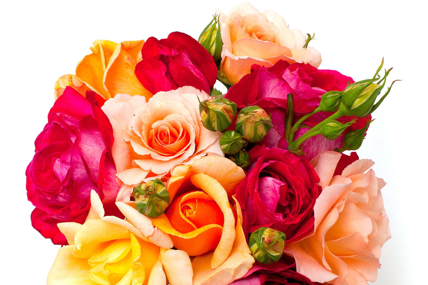 Roses! The Flower Arranging Workshop