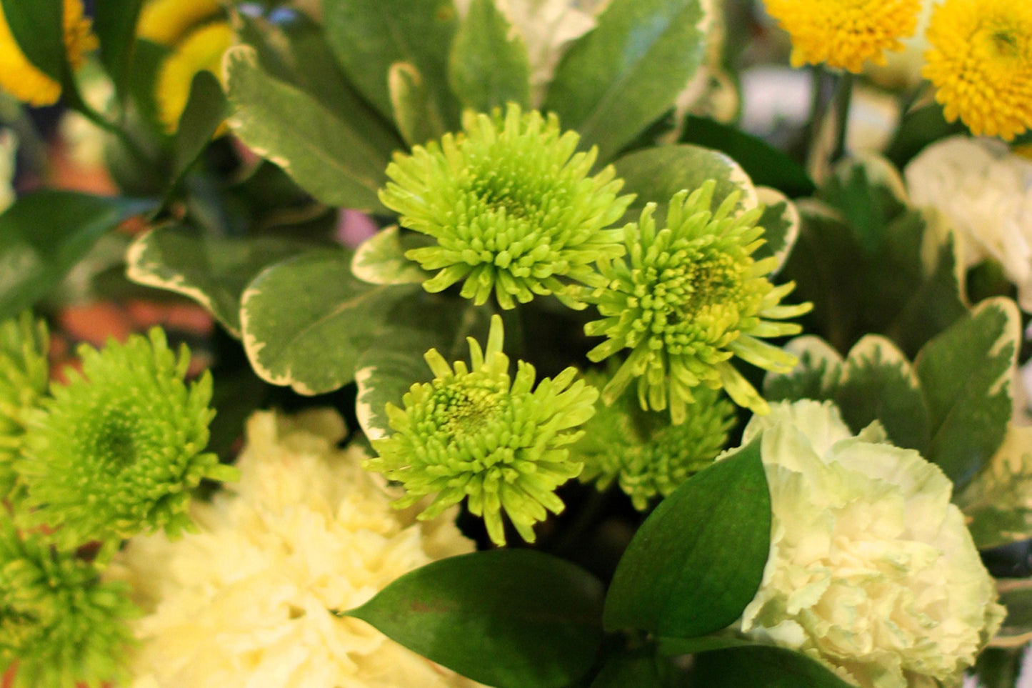 St. Patrick's Day Flower Arranging Class