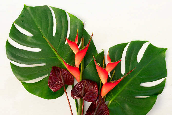 "Hawaiian Tropicals" Floral Design Class