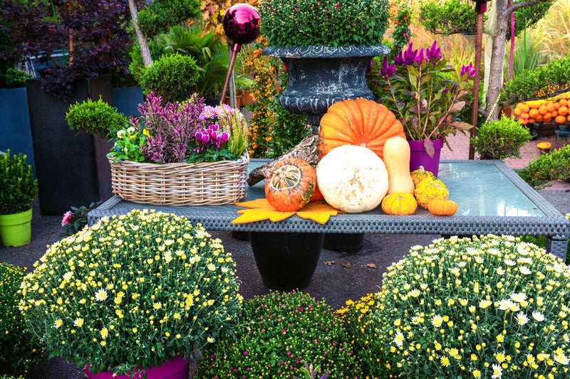 Plan Your Fall Garden