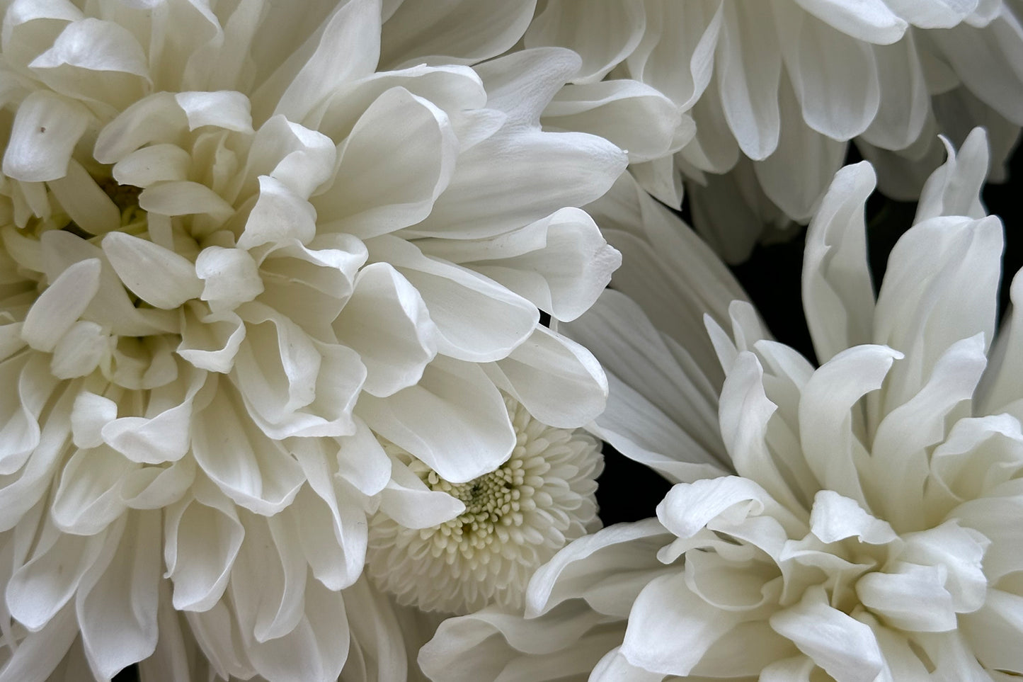 Snow White Floral Design Workshop