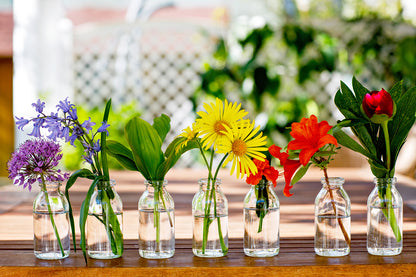 Color Theory Floral Design Class