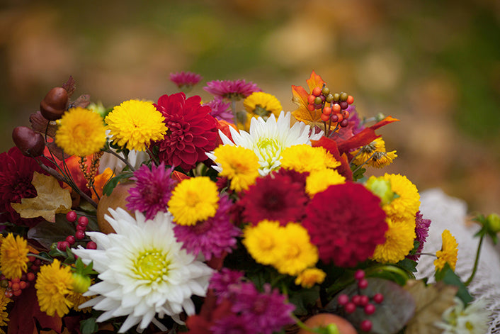 Flower Falling Layout Flowers of Fall Arranging Class β Cass School of Floral Design