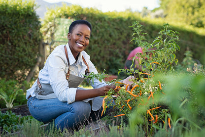 Plan Your Summer Garden