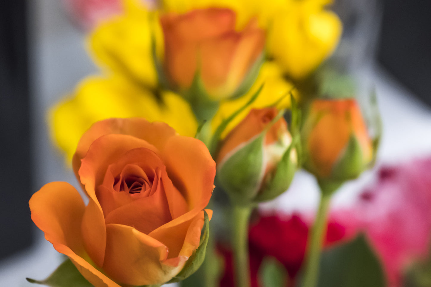 Roses! The Flower Arranging Workshop