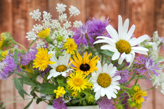 "Flowers of Summer" Class Bundle