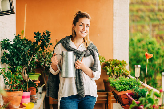 Plan Your Fall Garden