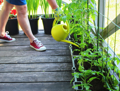 Plan Your Fall Garden