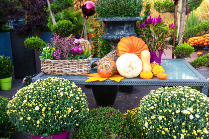 Plan Your Fall Garden